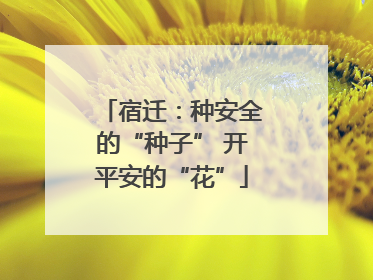 宿迁：种安全的“种子” 开平安的“花”