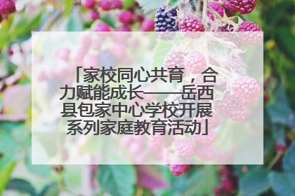 家校同心共育，合力赋能成长——岳西县包家中心学校开展系列家庭教育活动