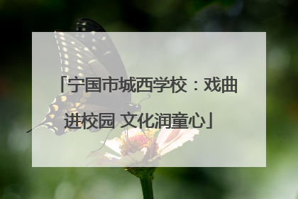 宁国市城西学校：戏曲进校园 文化润童心