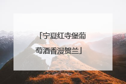 宁夏红寺堡葡萄酒香漫贺兰