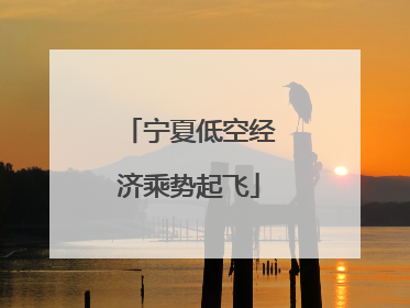 宁夏低空经济乘势起飞