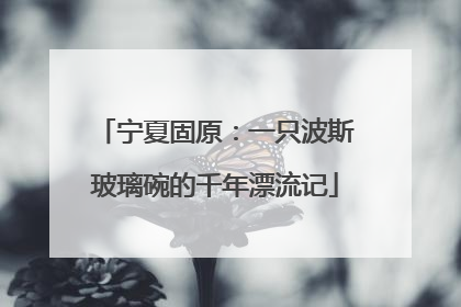 宁夏固原：一只波斯玻璃碗的千年漂流记