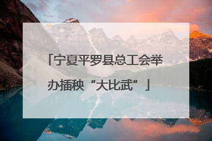 宁夏平罗县总工会举办插秧“大比武”