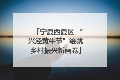 宁夏西夏区 “兴泾黄牛节”绘就乡村振兴新画卷