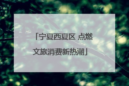 宁夏西夏区 点燃文旅消费新热潮