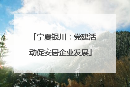 宁夏银川：党建活动促安居企业发展