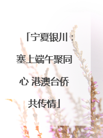 宁夏银川：塞上端午聚同心 港澳台侨共传情