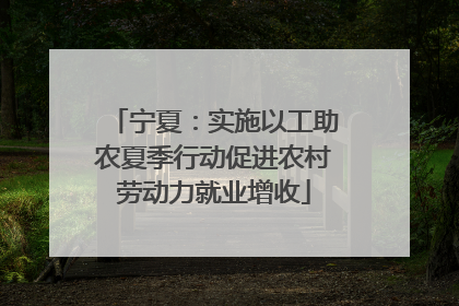 宁夏：实施以工助农夏季行动促进农村劳动力就业增收