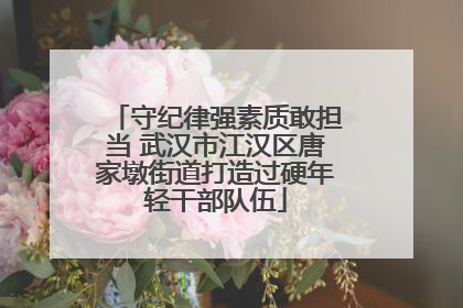 守纪律强素质敢担当 武汉市江汉区唐家墩街道打造过硬年轻干部队伍