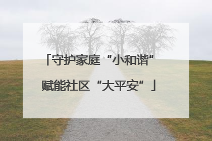 守护家庭“小和谐” 赋能社区“大平安”