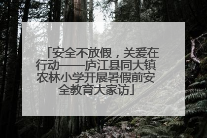 安全不放假，关爱在行动——庐江县同大镇农林小学开展暑假前安全教育大家访