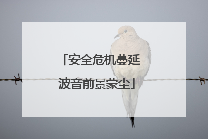安全危机蔓延 波音前景蒙尘