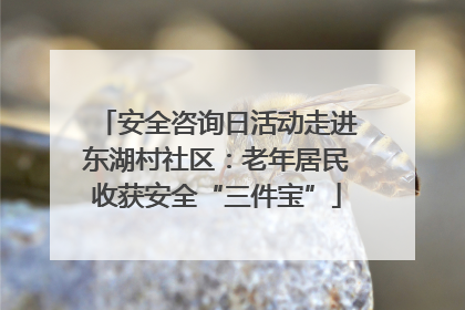安全咨询日活动走进东湖村社区：老年居民收获安全“三件宝”