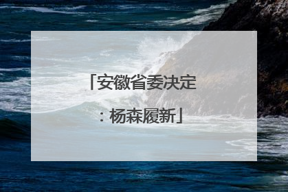 安徽省委决定：杨森履新
