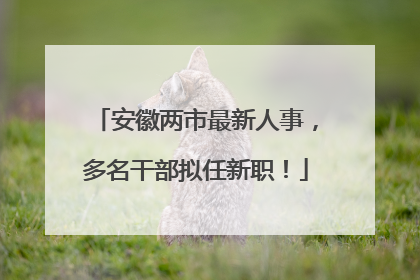 安徽两市最新人事，多名干部拟任新职！
