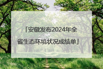 安徽发布2024年全省生态环境状况成绩单
