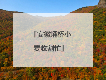 安徽埇桥小麦收割忙