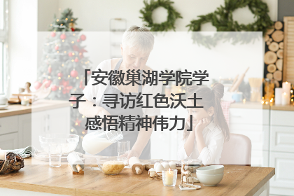 安徽巢湖学院学子：寻访红色沃土 感悟精神伟力