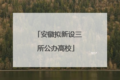 安徽拟新设三所公办高校