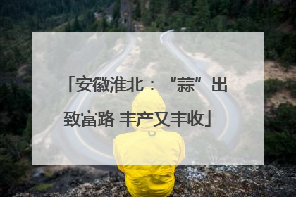 安徽淮北：“蒜”出致富路 丰产又丰收
