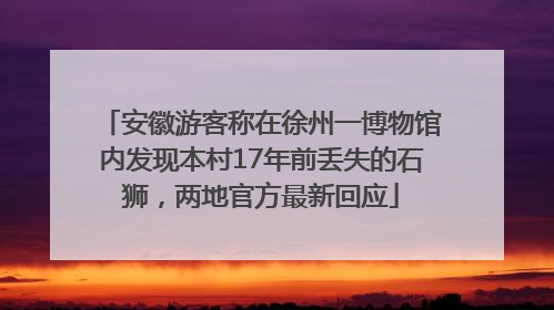 安徽游客称在徐州一博物馆内发现本村17年前丢失的石狮，两地官方最新回应