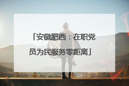 安徽肥西：在职党员为民服务零距离