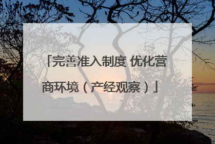 完善准入制度 优化营商环境（产经观察）