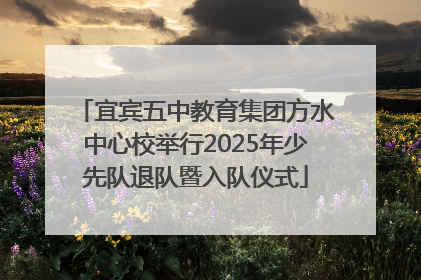 宜宾五中教育集团方水中心校举行2025年少先队退队暨入队仪式