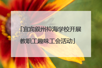 宜宾叙州樟海学校开展教职工趣味工会活动