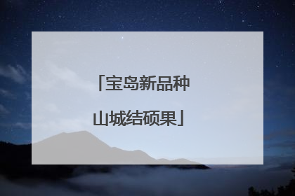 宝岛新品种 山城结硕果