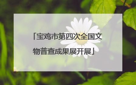 宝鸡市第四次全国文物普查成果展开展