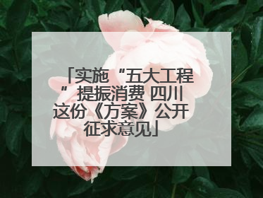 实施“五大工程”提振消费 四川这份《方案》公开征求意见
