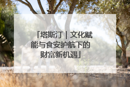 塔斯汀｜文化赋能与食安护航下的财富新机遇