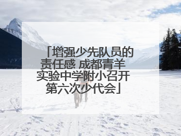增强少先队员的责任感 成都青羊实验中学附小召开第六次少代会