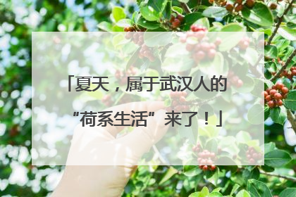 夏天，属于武汉人的“荷系生活”来了！