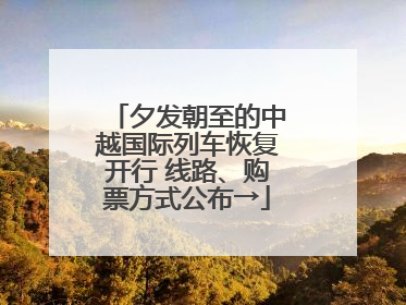 夕发朝至的中越国际列车恢复开行 线路、购票方式公布→