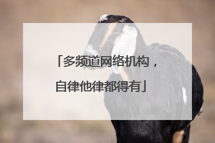 多频道网络机构，自律他律都得有