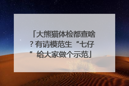 大熊猫体检都查啥？有请模范生“七仔”给大家做个示范