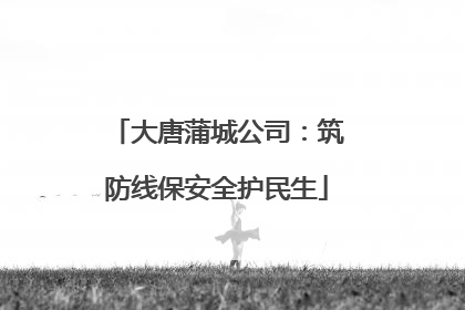大唐蒲城公司：筑防线保安全护民生