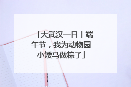 大武汉一日丨端午节，我为动物园小矮马做粽子