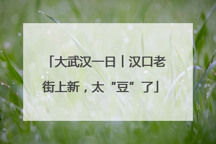 大武汉一日︱汉口老街上新，太“豆”了
