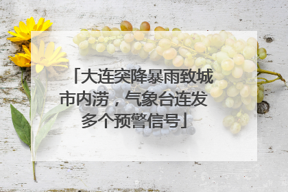大连突降暴雨致城市内涝，气象台连发多个预警信号