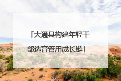 大通县构建年轻干部选育管用成长链