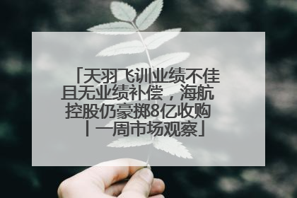 天羽飞训业绩不佳且无业绩补偿，海航控股仍豪掷8亿收购丨一周市场观察