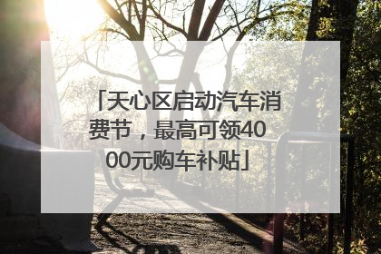天心区启动汽车消费节，最高可领4000元购车补贴