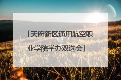 天府新区通用航空职业学院举办双选会