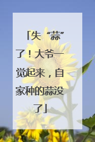 失“蒜”了！大爷一觉起来，自家种的蒜没了
