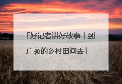 好记者讲好故事丨到广袤的乡村田间去