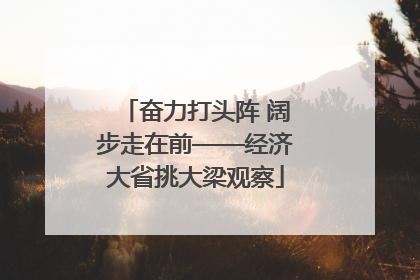 奋力打头阵 阔步走在前——经济大省挑大梁观察