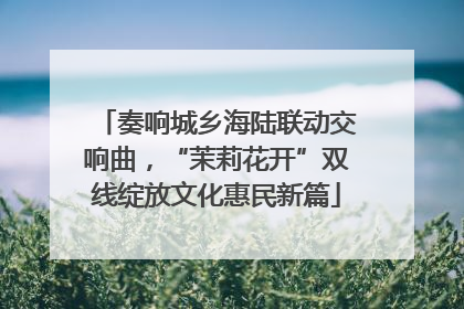 奏响城乡海陆联动交响曲，“茉莉花开”双线绽放文化惠民新篇